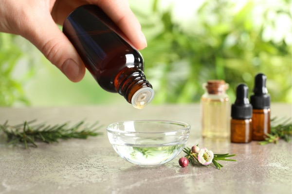 Phân biệt tinh dầu cây tràm gió